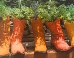 Boots and Breakfast